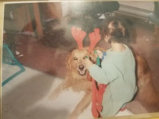 Candy was one of many pets. She is having Christmas antlers placed on her head by my 2-year old daughter