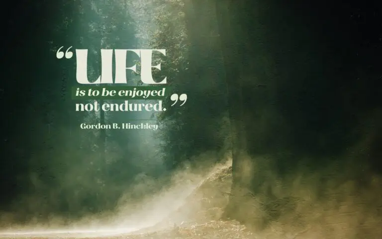 Quote: Life is to be Enjoyed, not Endured