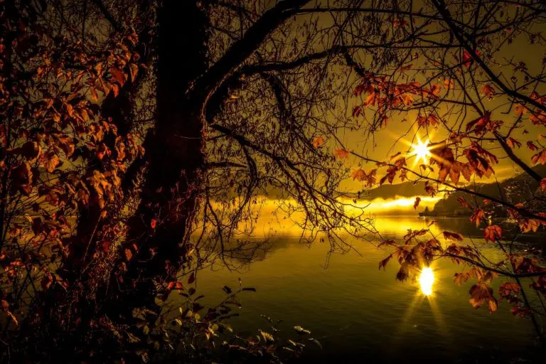 autumn at the lake